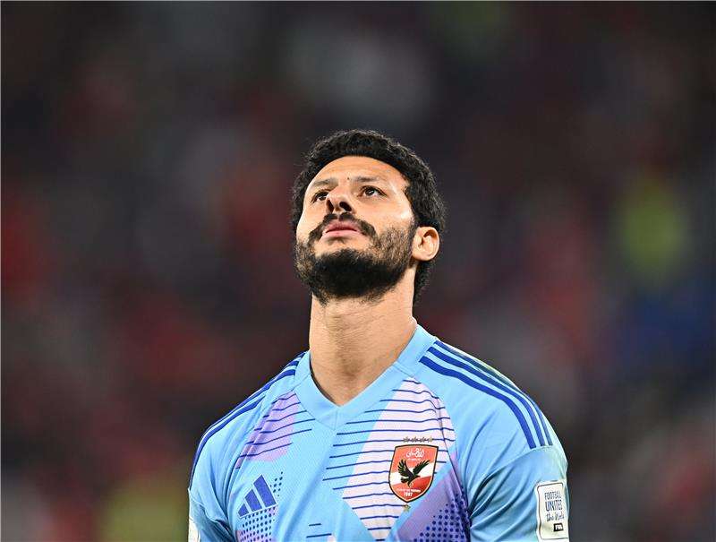 محمد الشناوي