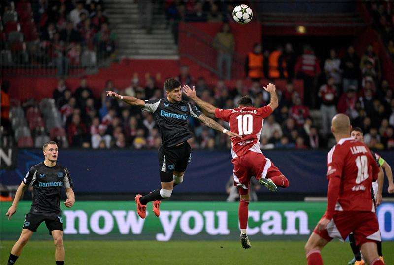 20241023-afp_36kn3bz_afp