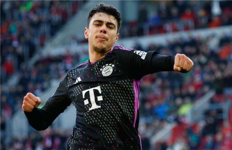 ألكسندر بافلوفيتش