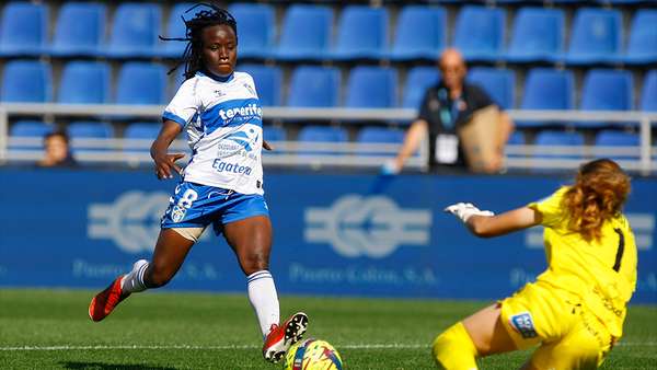 أنجي نجيسان