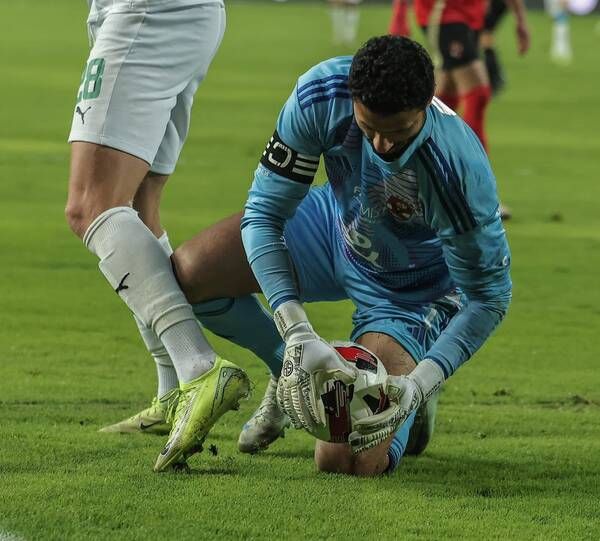 محمد الشناوي