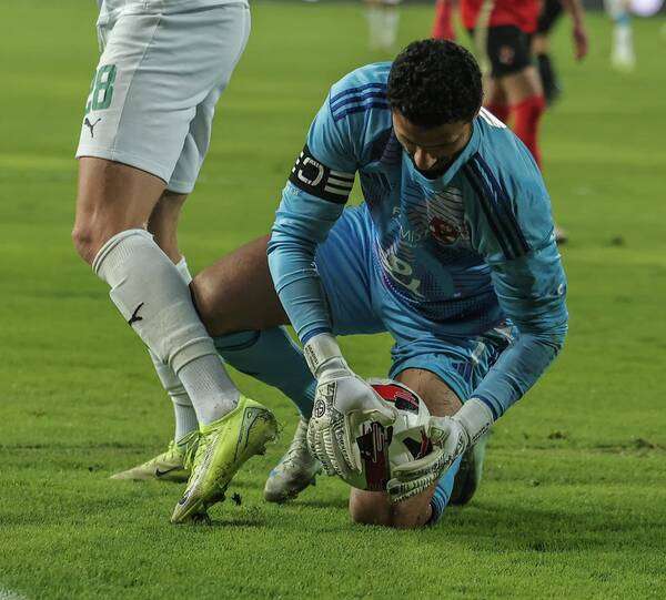 محمد الشناوي