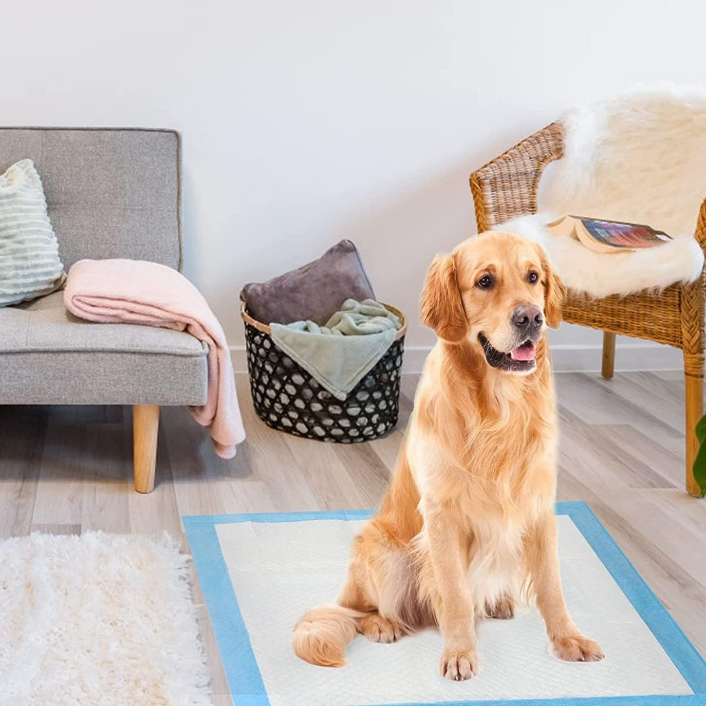 71V97CEjehL._AC_SL1450_