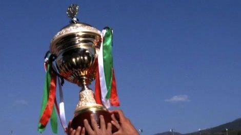 كأس السوبر الجزائري