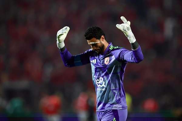 محمد الشناوي