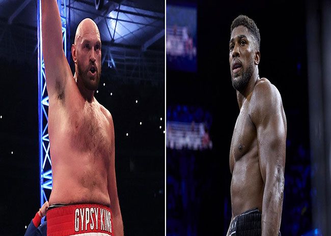 جوشوا وفيوري