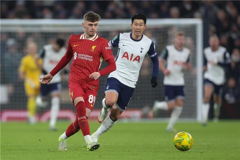 كونور برادلي