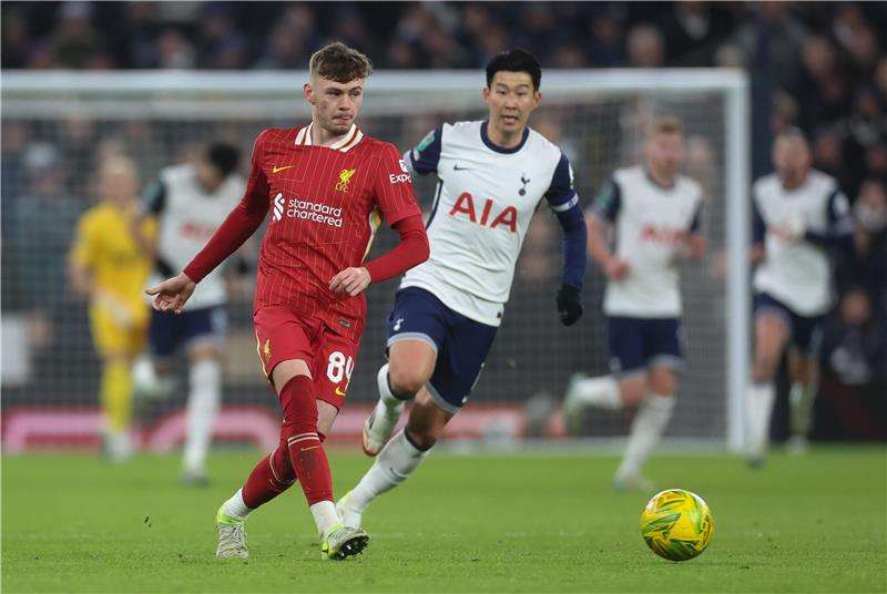 كونور برادلي