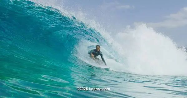 ?i=corr%2f552%2fkoo_552771