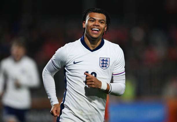 داني سكارليت