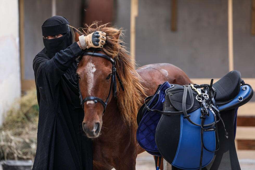 شكري عثمان موسى