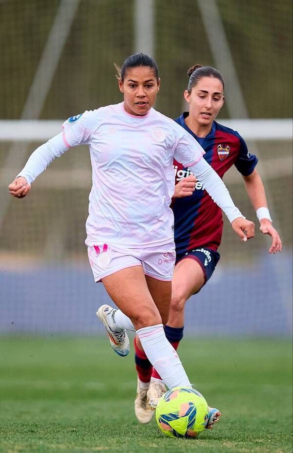 غزلان الشباك