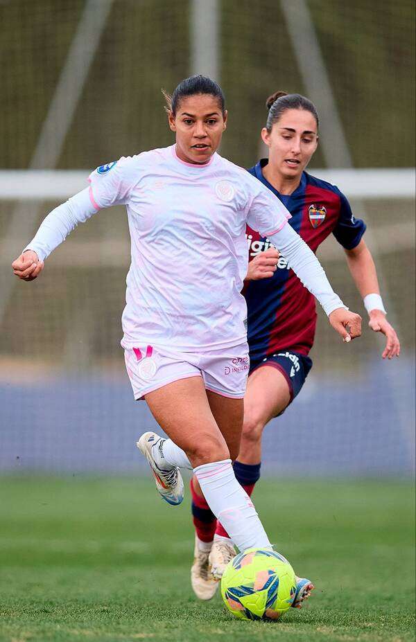 غزلان الشباك