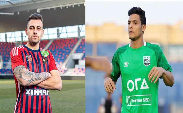 العش وجراديسار