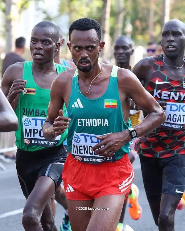 ?i=corr%2f553%2fkoo_553622