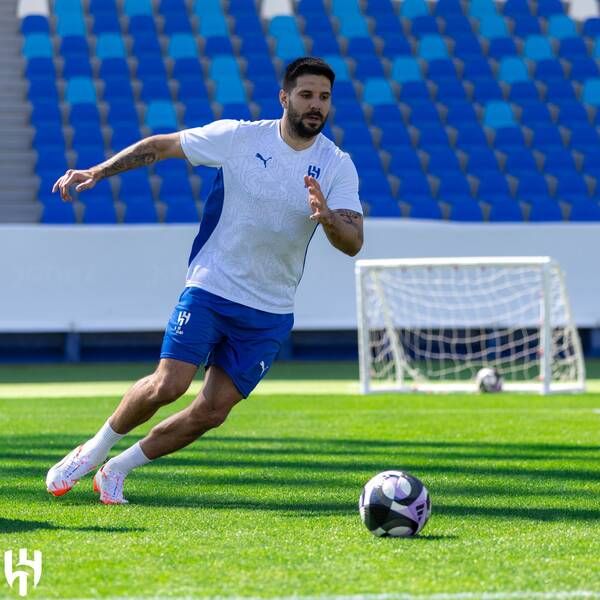 ألكسندر ميتروفيتش