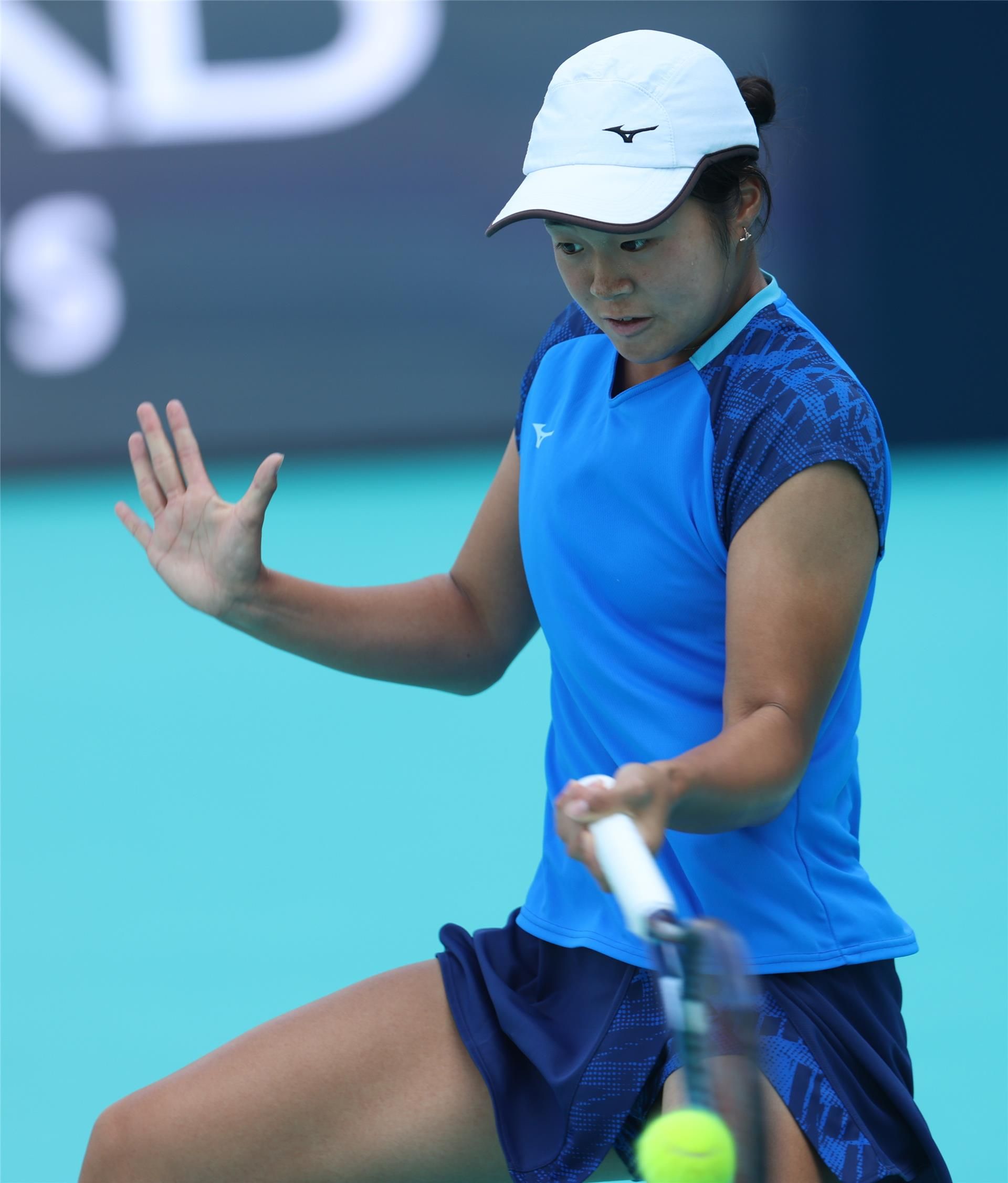 واكانا سونوبي