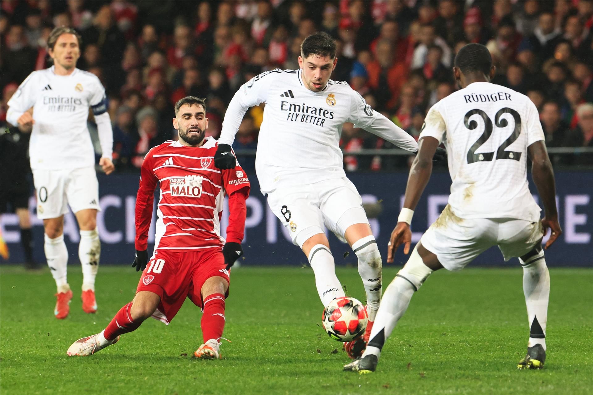 فيدي فالفيردي