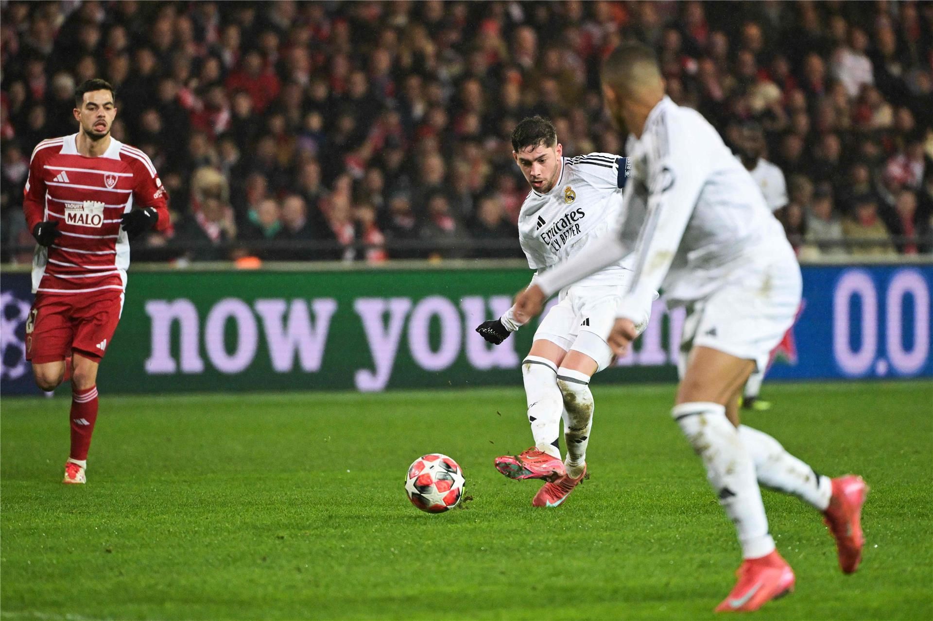 فالفيردي (يمين)