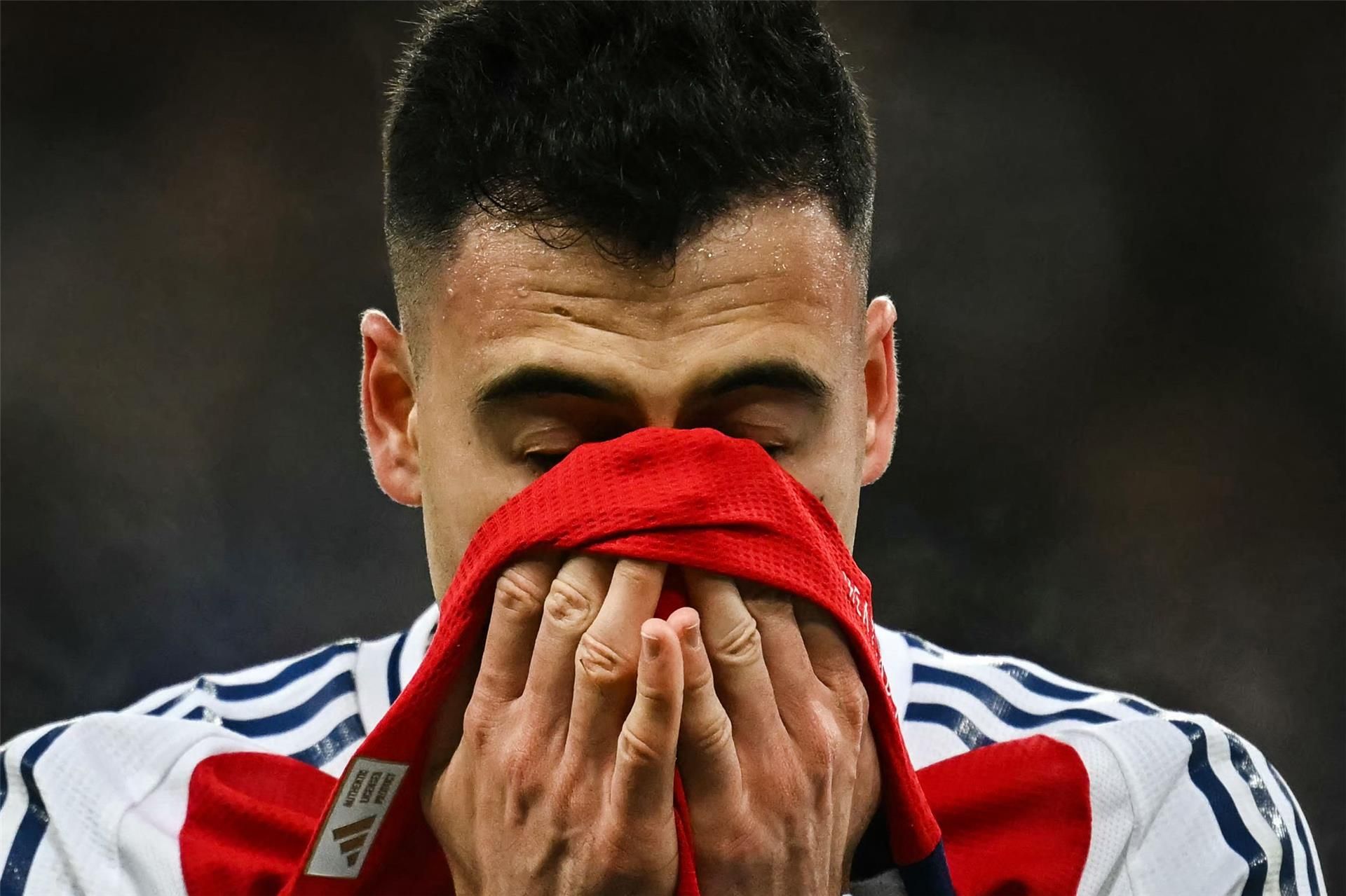 جابرييل مارتينيلي