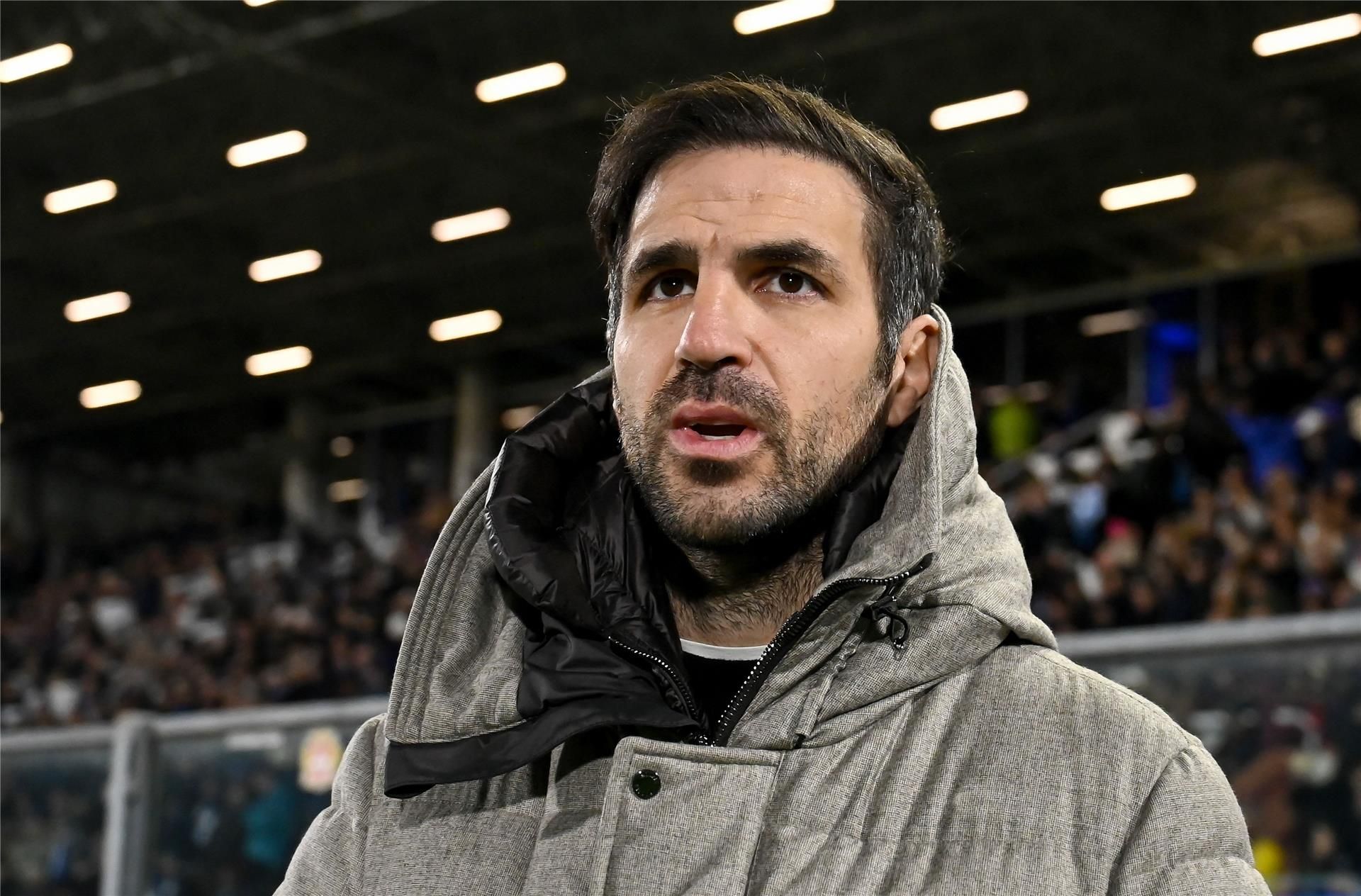 سيسك فابريجاس