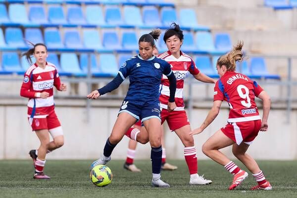 غزلان الشباك ضد غرناطة اليوم