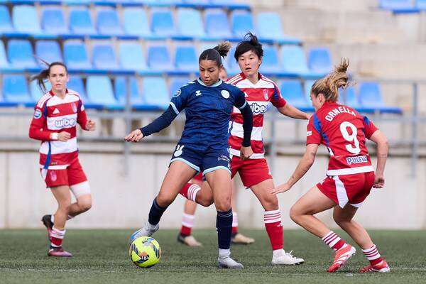 غزلان الشباك ضد غرناطة اليوم