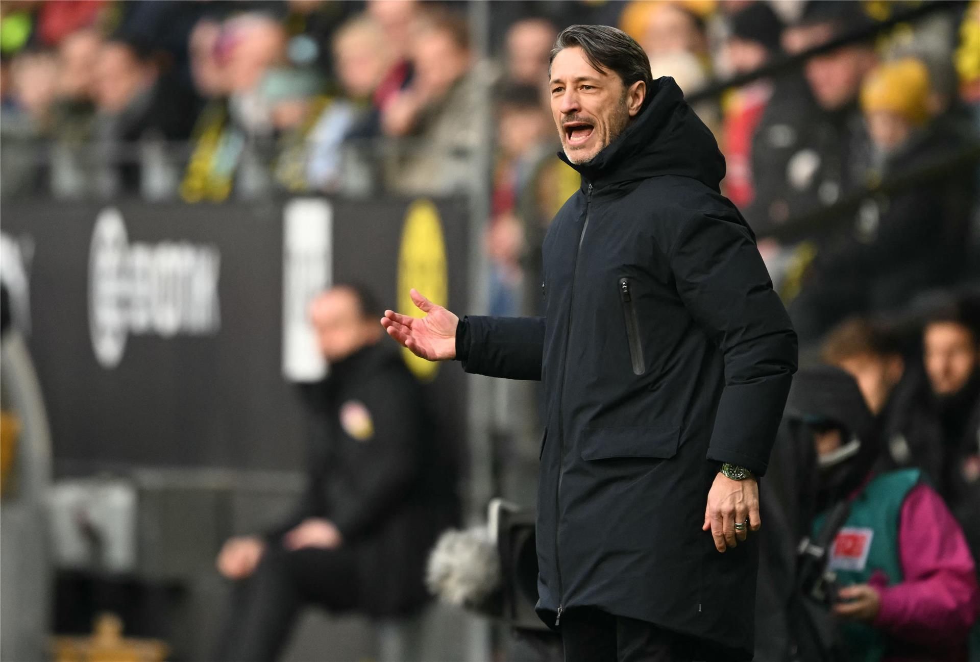 نيكو كوفاتش