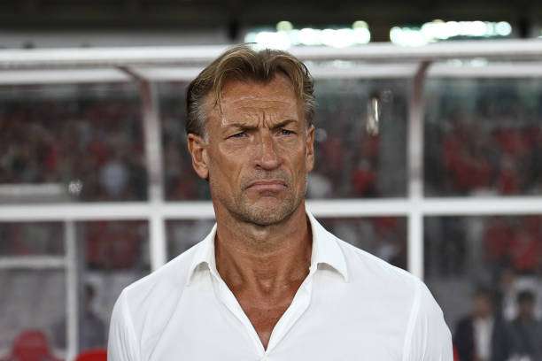 هيرفي رينارد