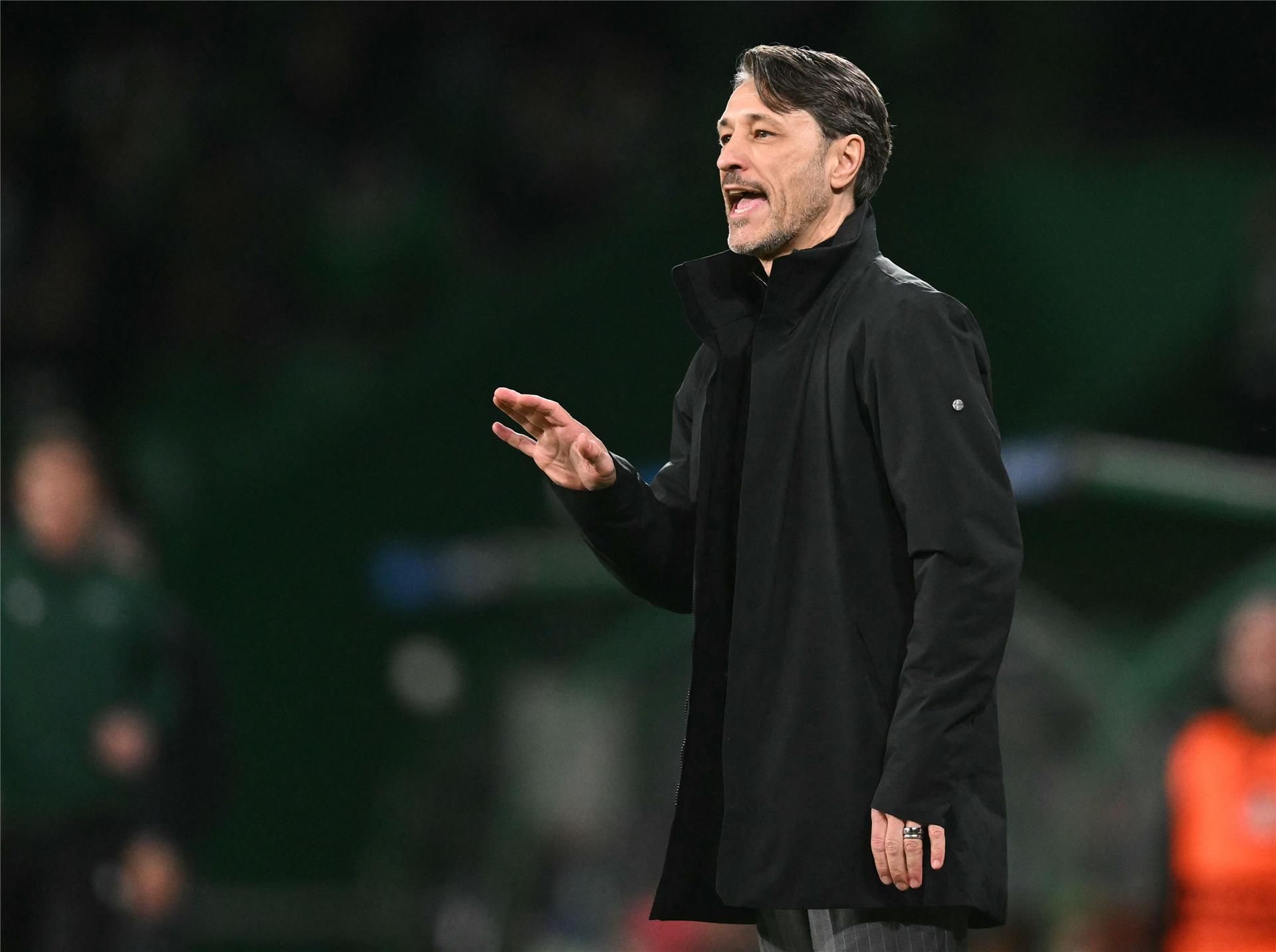 نيكو كوفاتش