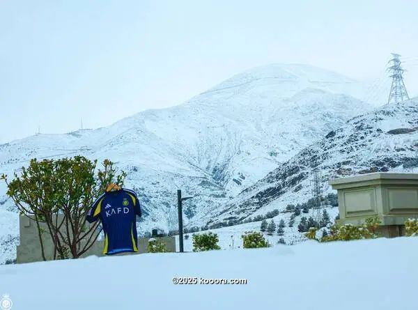 ?i=corr%2f556%2fkoo_556880