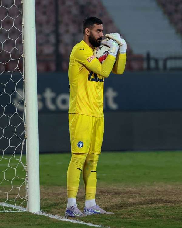 أحمد الشناوي