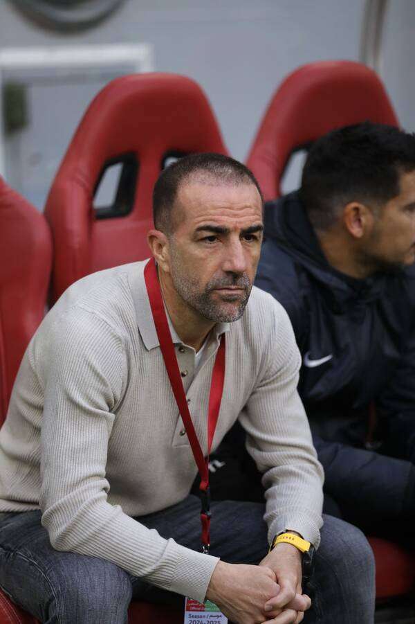 ديفيد براتس