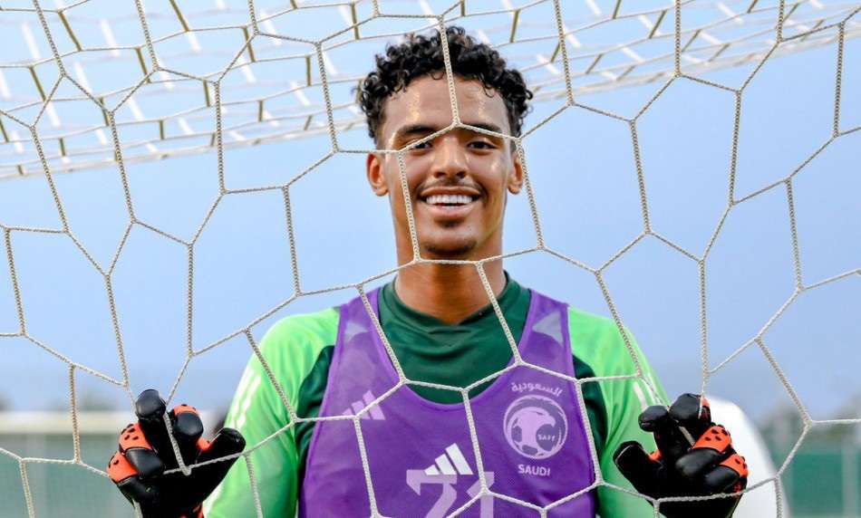 حامد الشنقيطي