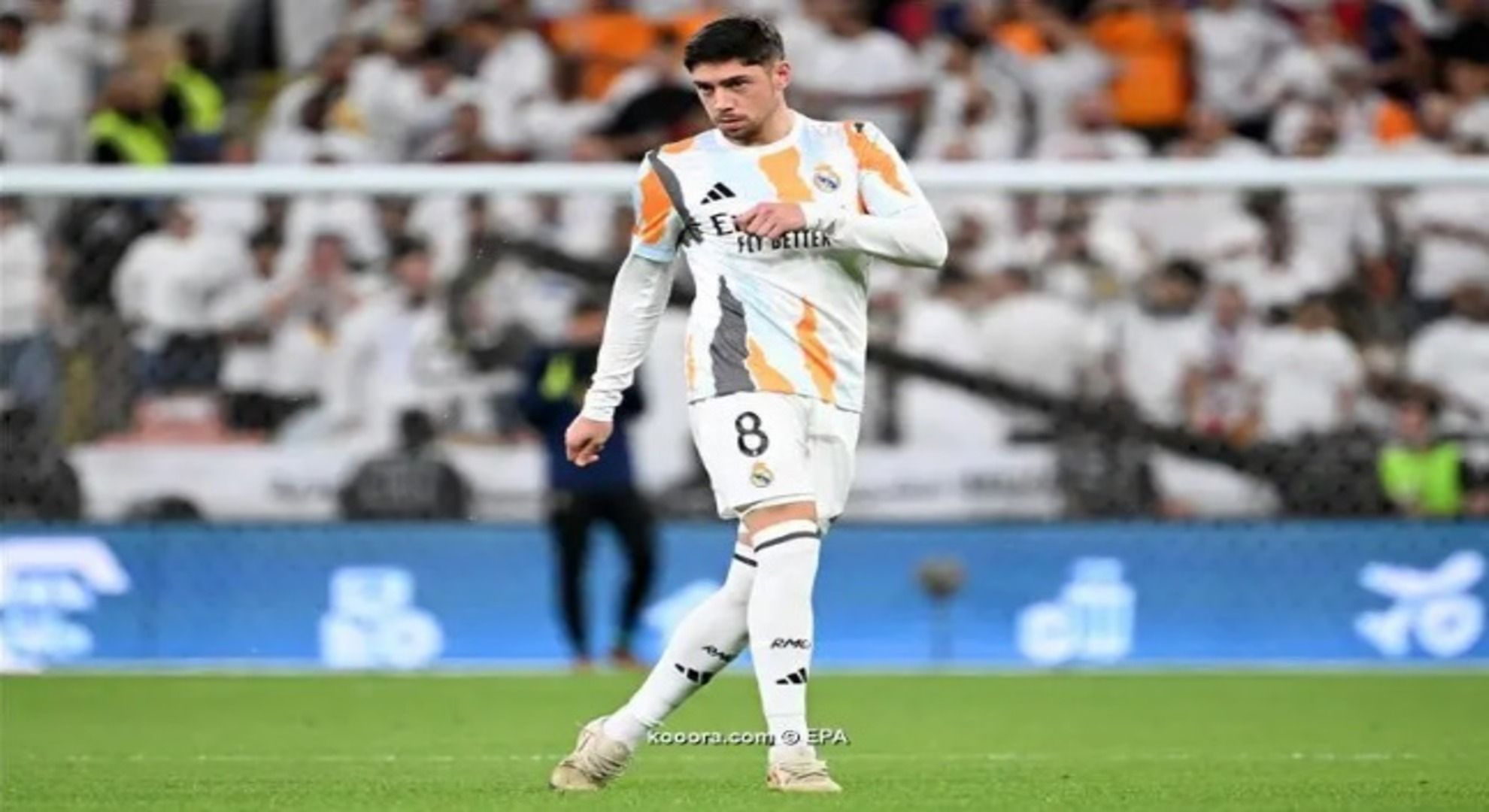 فيدي فالفيردي