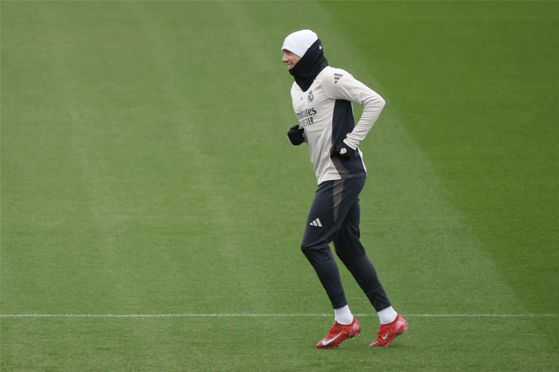 فيدي فالفيردي