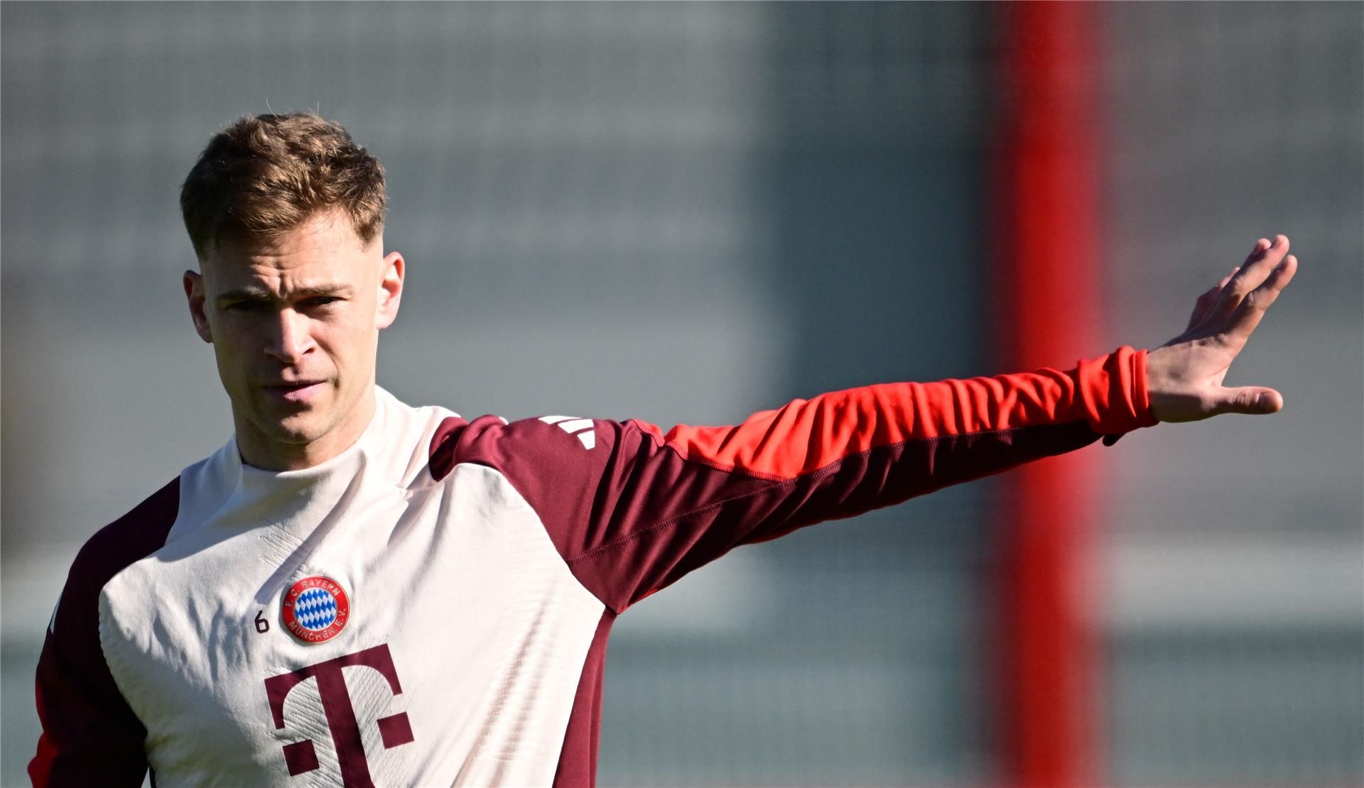 جوشوا كيميتش