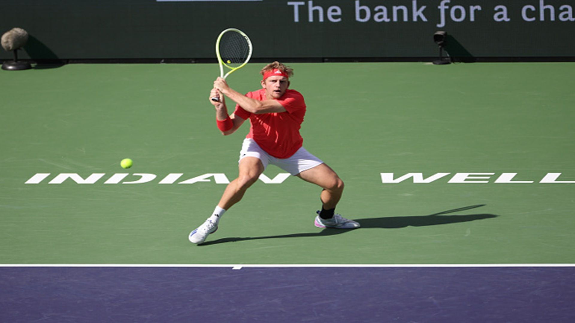 دافيدوفيتش