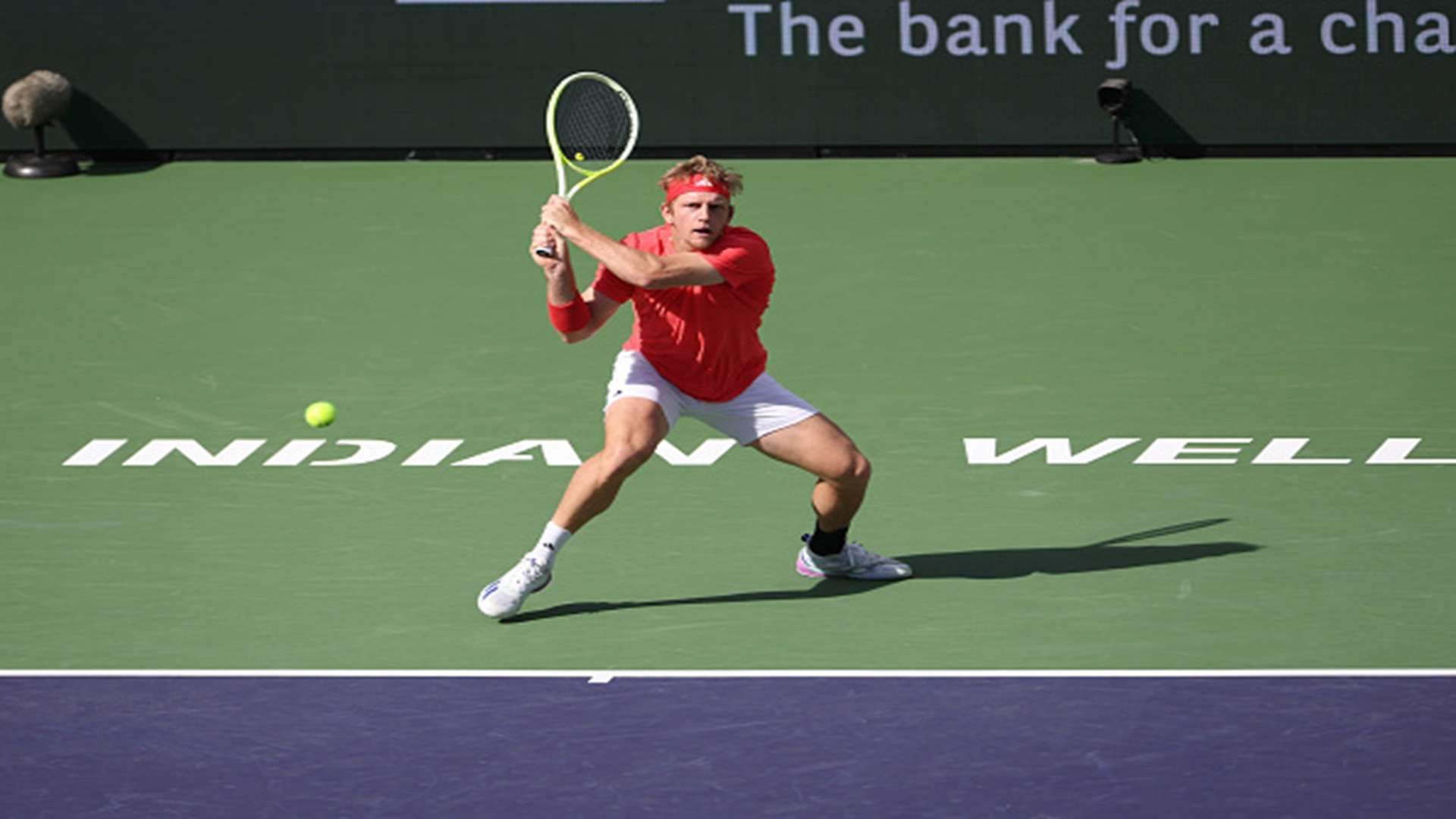 دافيدوفيتش