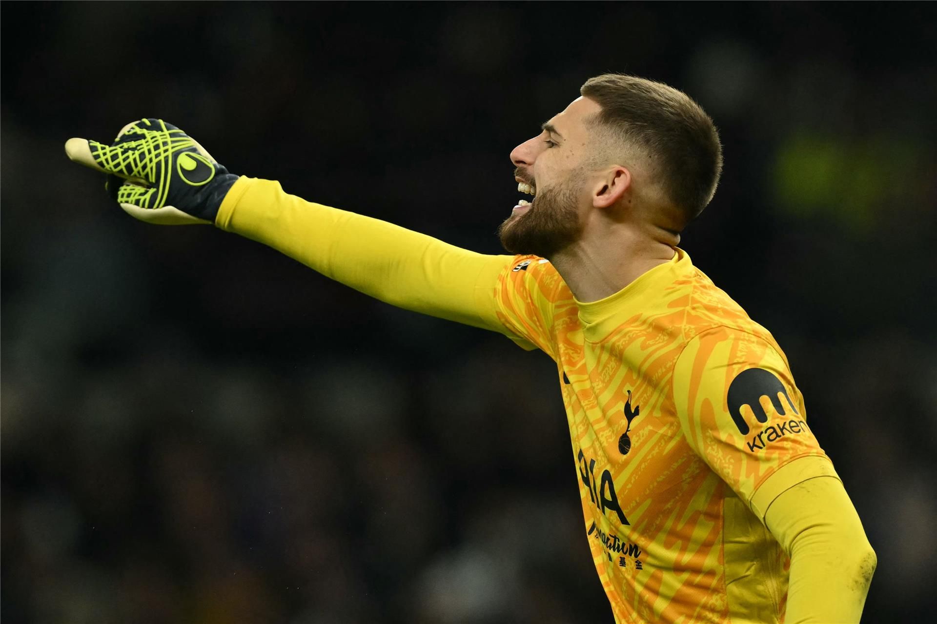 جوليلمو فيكاريو