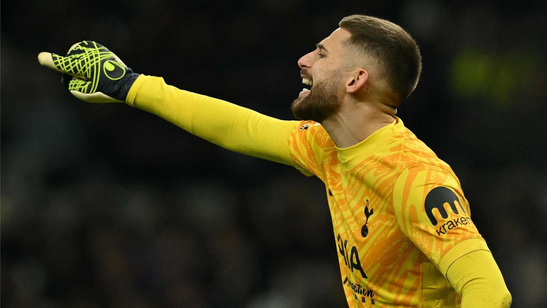 جوليلمو فيكاريو