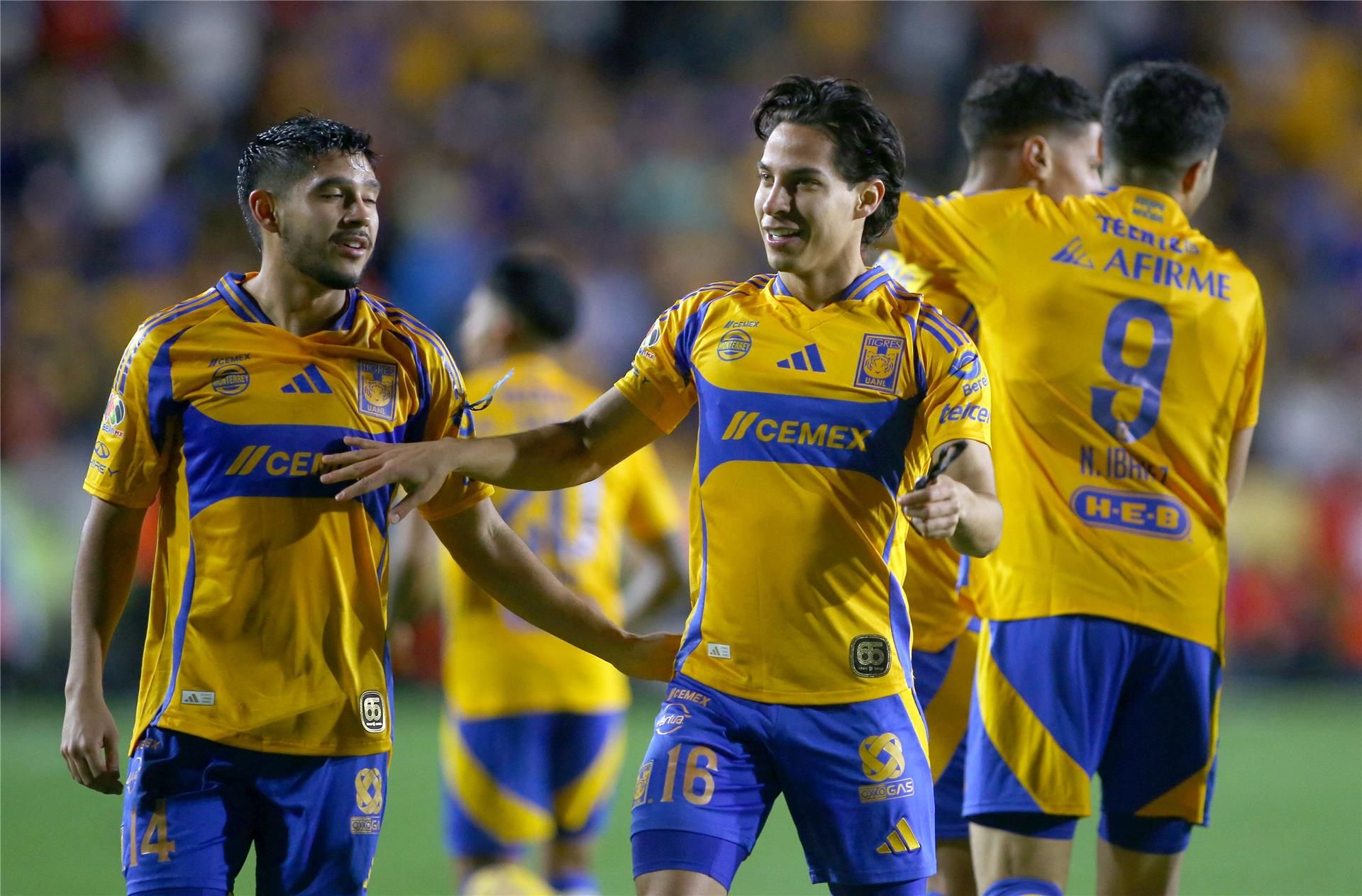 تيجريس أونال