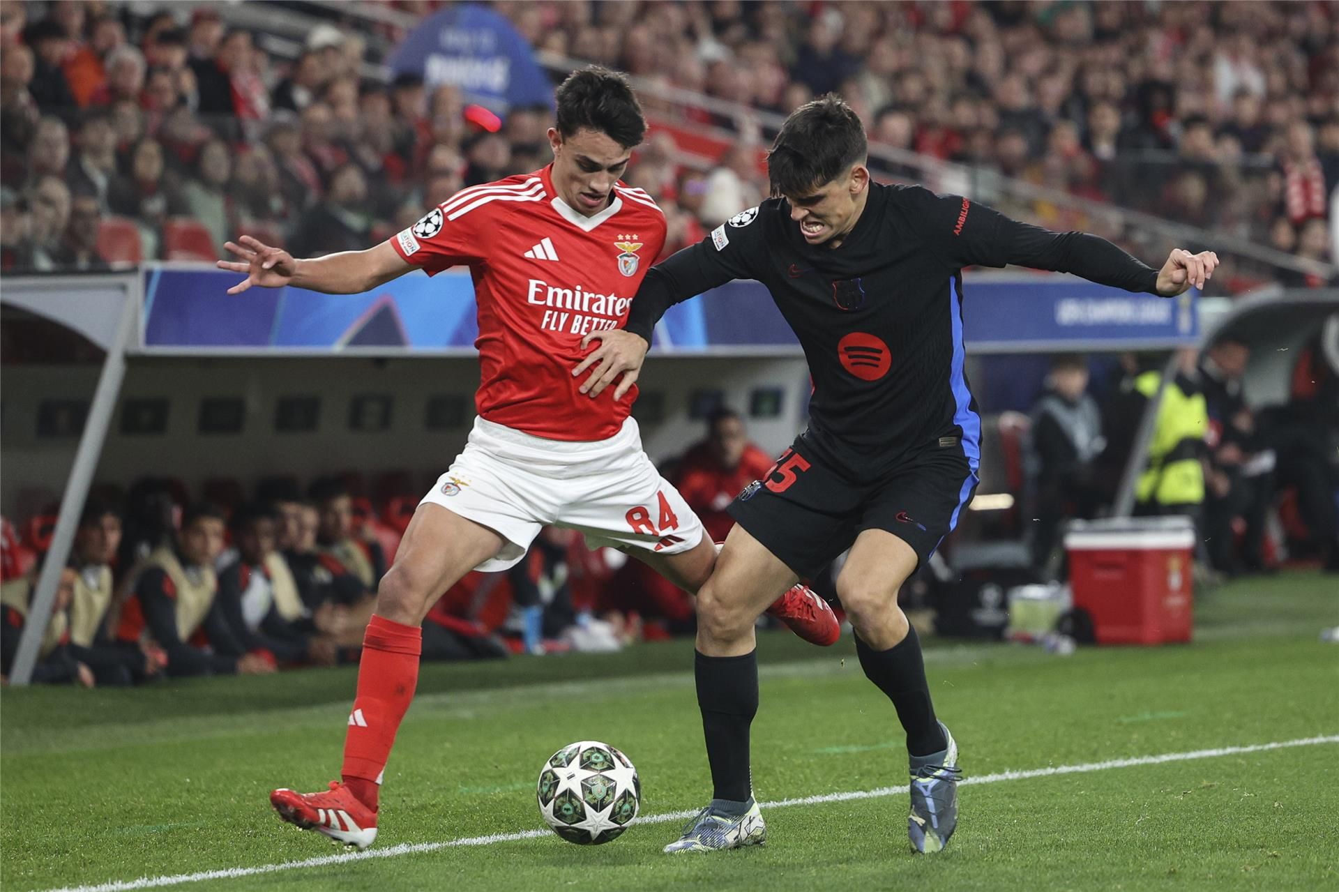 من لقاء الذهاب