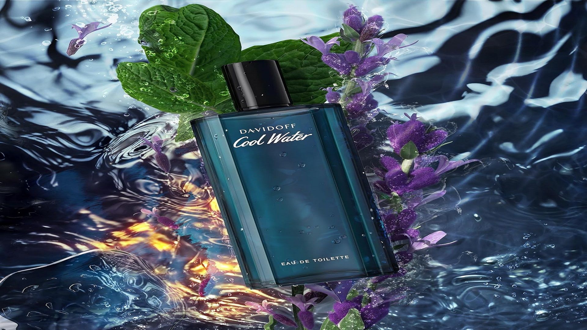 عطر كوول ووتر