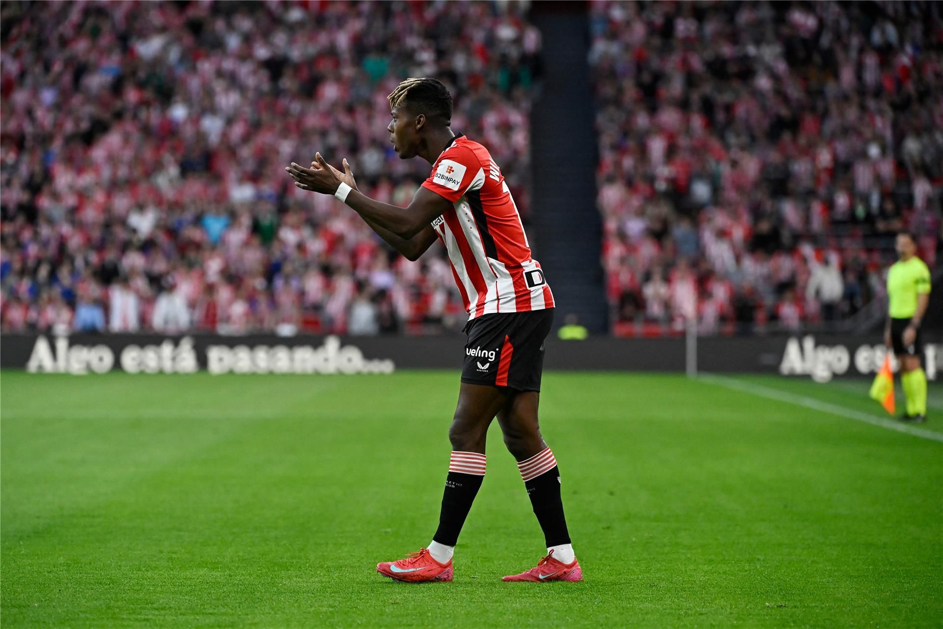 نيكو ويليامز