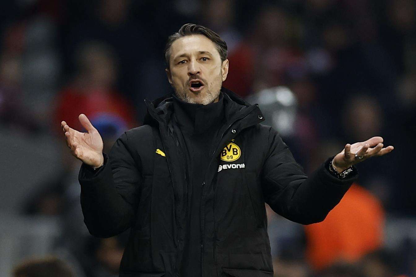 نيكو كوفاتش