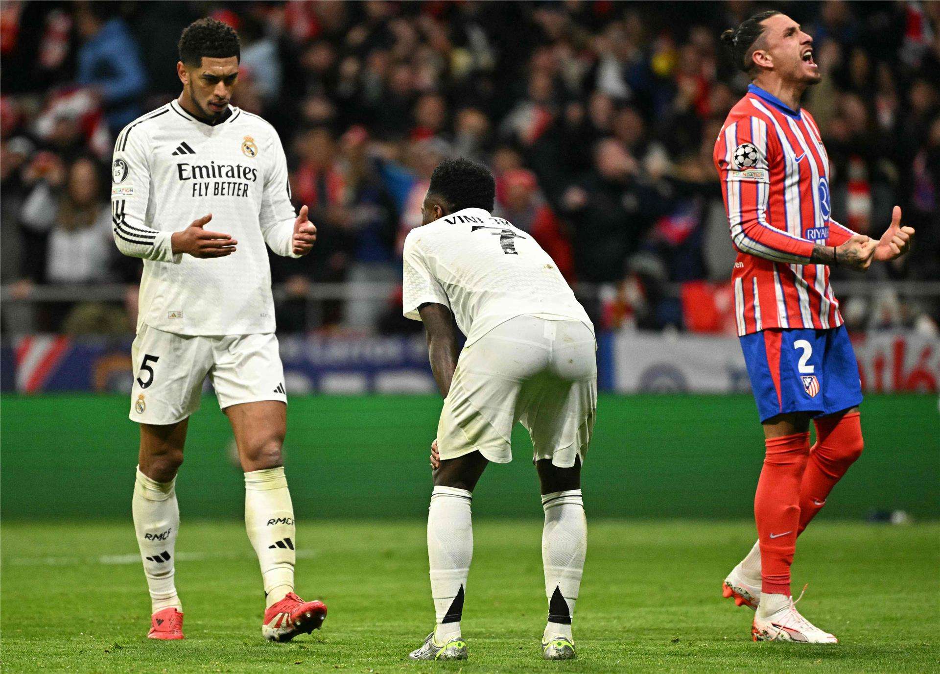 بيلينجهام وفينيسيوس