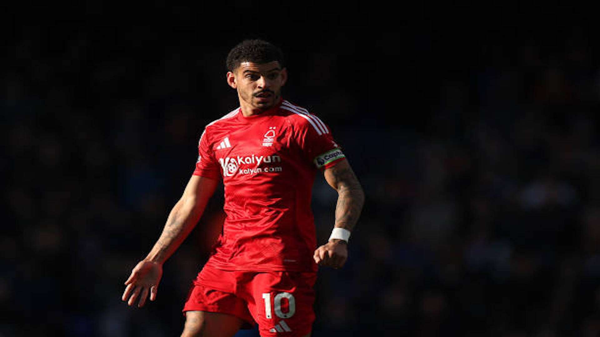 مورغان جيبس وايت