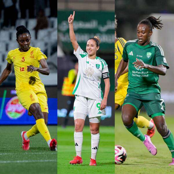 كاباكابا وجرايدي ونشوت