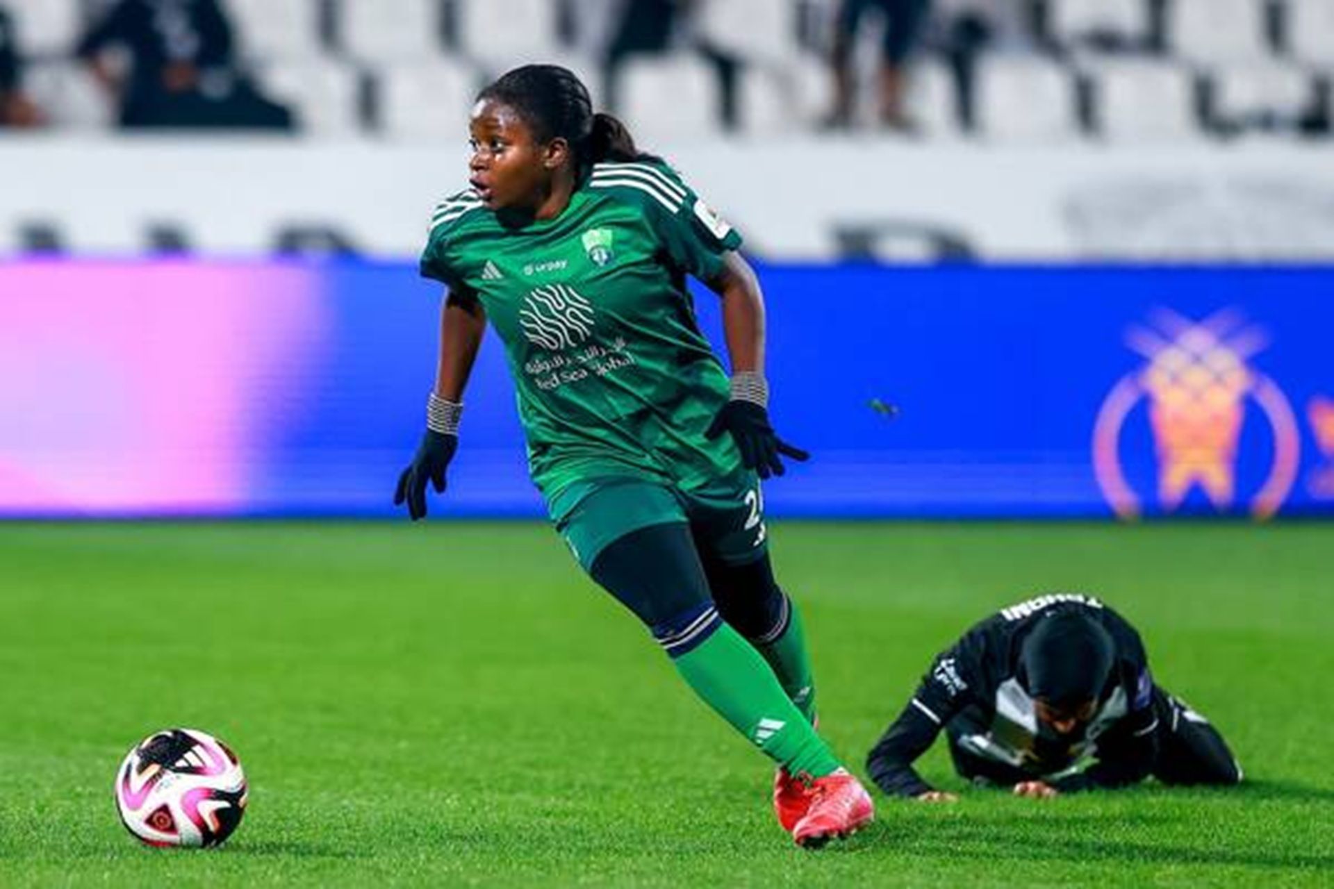 ملوك الهوساوي